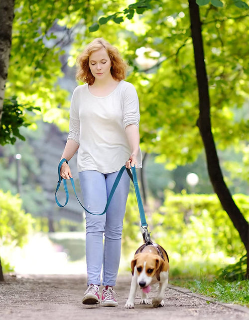 Load image into Gallery viewer, 5 FT Heavy Duty Dog Leash with 2 Comfortable Padded Handles, Traffic Handle &amp; Advanced Easy Snap Hook, Reflective Walking Lead for Large, Medium &amp; Small Breed Dogs, Blue
